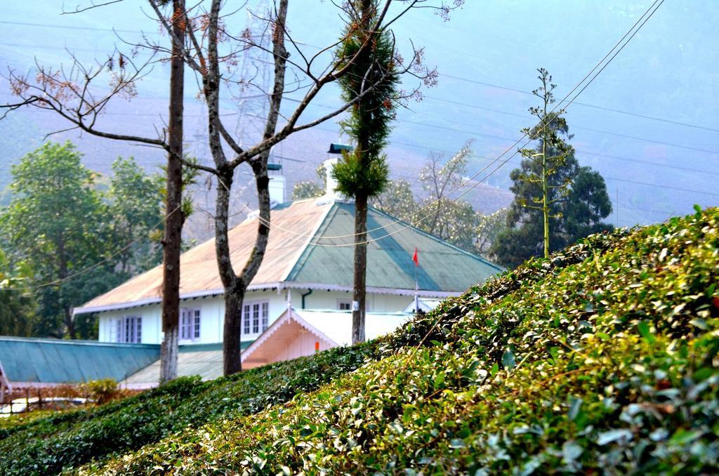 فندق دارجيلنغفي  Tumsong Chiabari - The Tea Retreat المظهر الخارجي الصورة